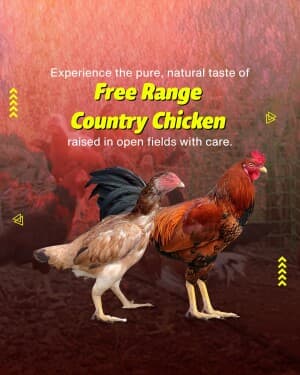 Chicken Farming marketing poster