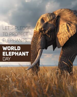 World Elephant Day flyer