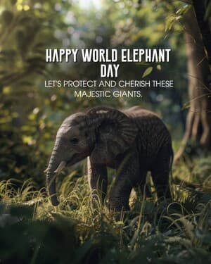 World Elephant Day banner