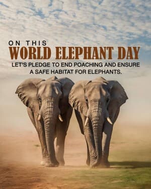 World Elephant Day video