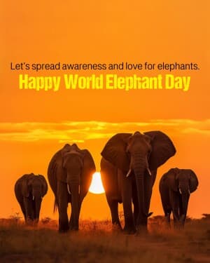 World Elephant Day graphic