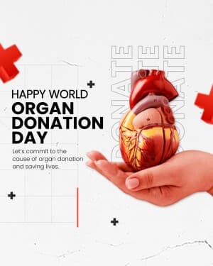 World Organ Donation Day video