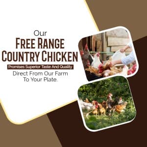 Poultry  Farm flyer