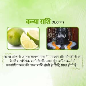 Shravan Astro Remedies poster