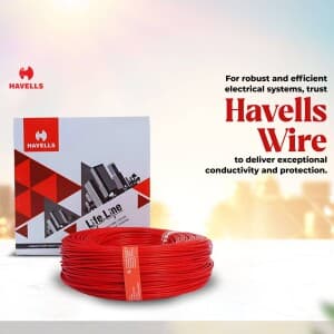 Havells business video