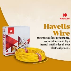 Havells business image