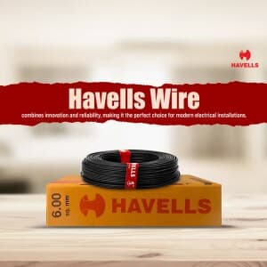 Havells business post