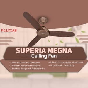 Polycab marketing post