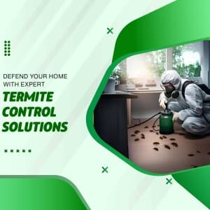 Pest Control image