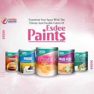 Paints instagram post