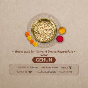 7 Grains for Ghatasthapana Puja in Navratri post