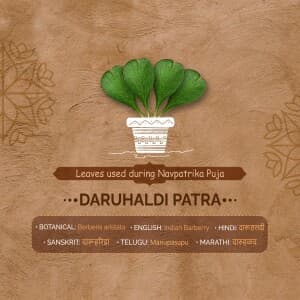 9 Leaves used during Navpatrika Puja poster