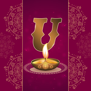 Dev Diwali Regular Theme image