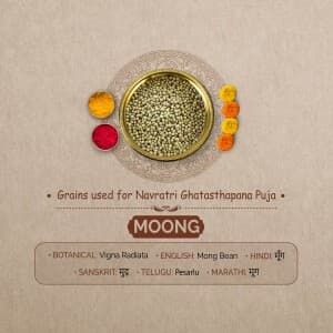 7 Grains for Ghatasthapana Puja in Navratri flyer