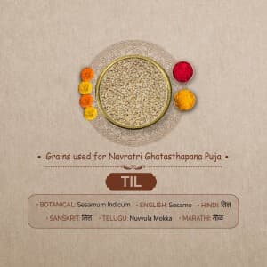 7 Grains for Ghatasthapana Puja in Navratri template