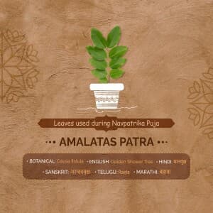 9 Leaves used during Navpatrika Puja facebook banner