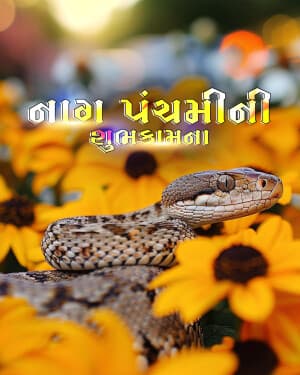 Nag Panchami Exclusive Collection creative image