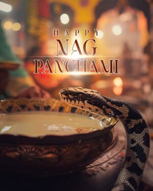 Nag Panchami Exclusive Collection graphic