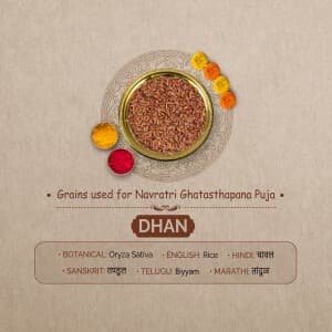 7 Grains for Ghatasthapana Puja in Navratri image