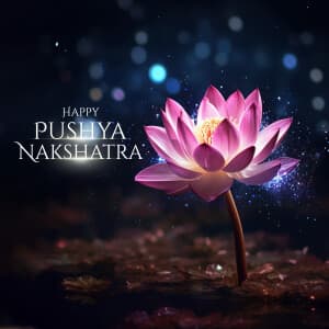Pushya Nakshatra Exclusive Collection banner