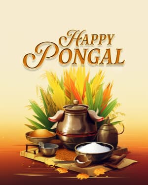 Exclusive Collection of Pongal post