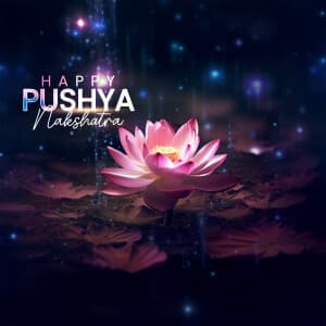 Pushya Nakshatra Exclusive Collection post