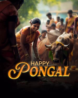 Exclusive Collection of Pongal graphic