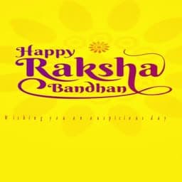 Raksha Bandhan Insta Story Video flyer