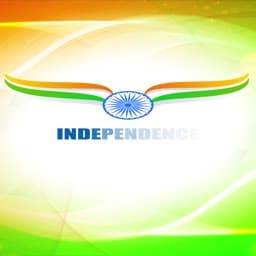 Independence day Insta Story Video marketing flyer