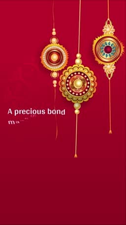 Raksha Bandhan Insta Story Video Instagram banner