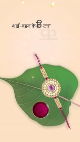 Raksha Bandhan Insta Story Video facebook ad banner