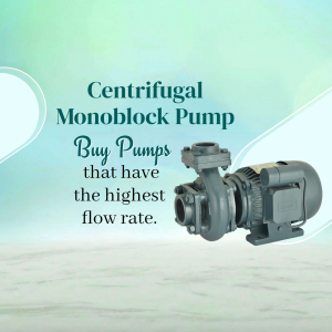 Centrifugal Mononlock Pump business video