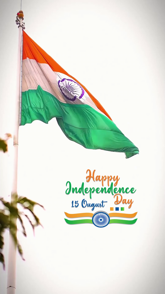 Independence day Insta Story Video facebook ad banner