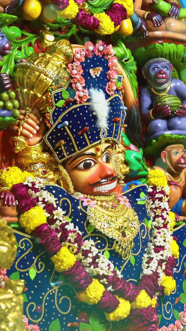 Salangpur Daily Darshan creative image