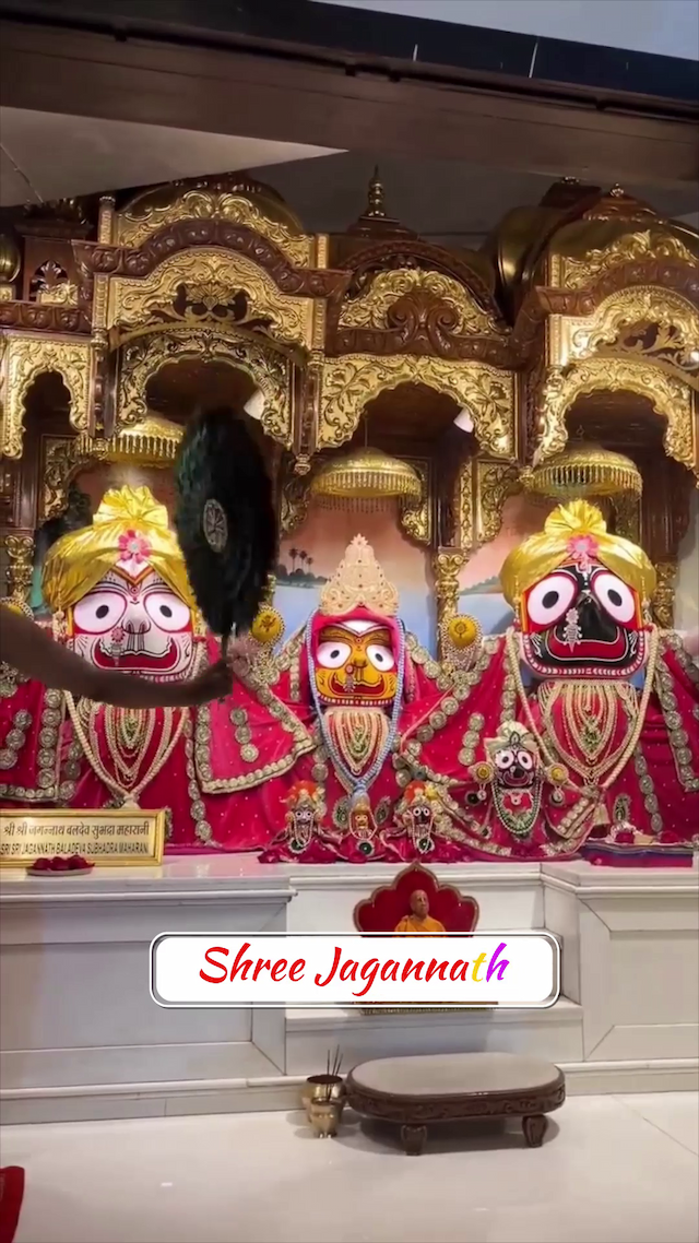 Rath Yatra Video Story Social Media post