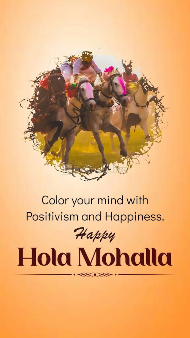 Hola Mohalla Instagram Story Template