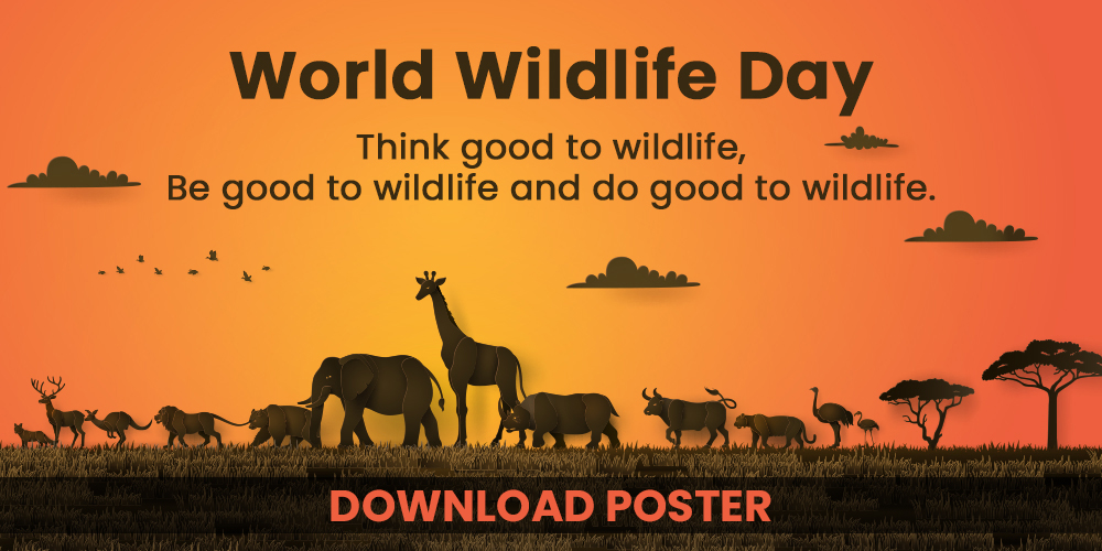 World Wildlife Day Posters Brands.live