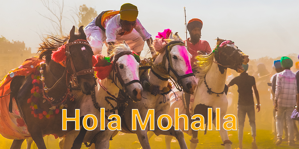 Hola Mohalla Festival Banner